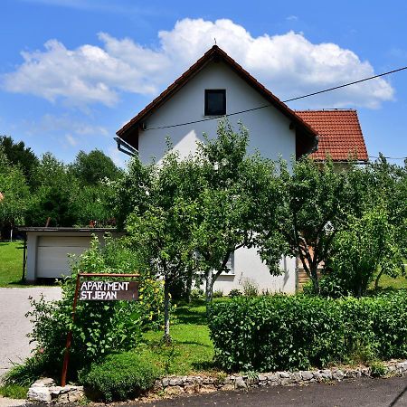 Apartment Stjepan ラコヴィツァ エクステリア 写真