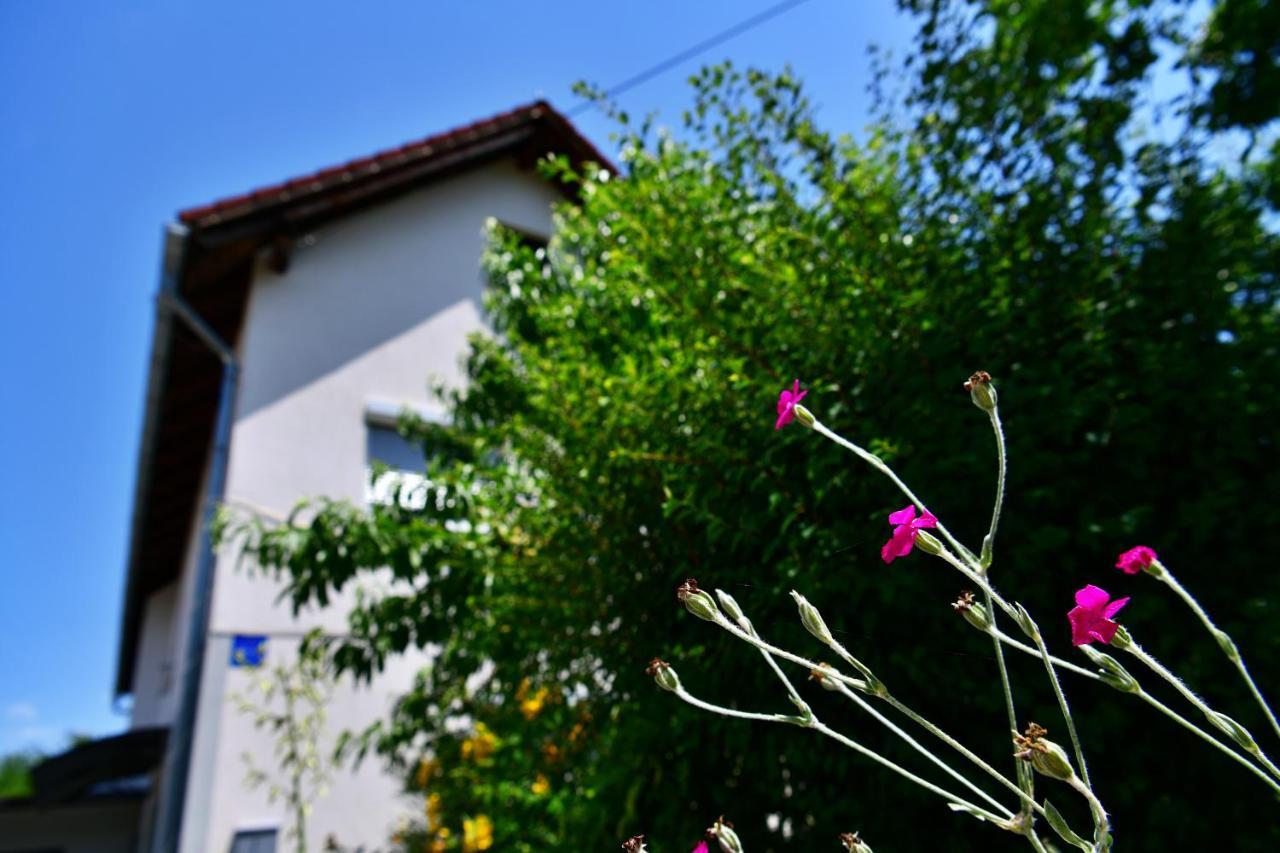 Apartment Stjepan ラコヴィツァ エクステリア 写真